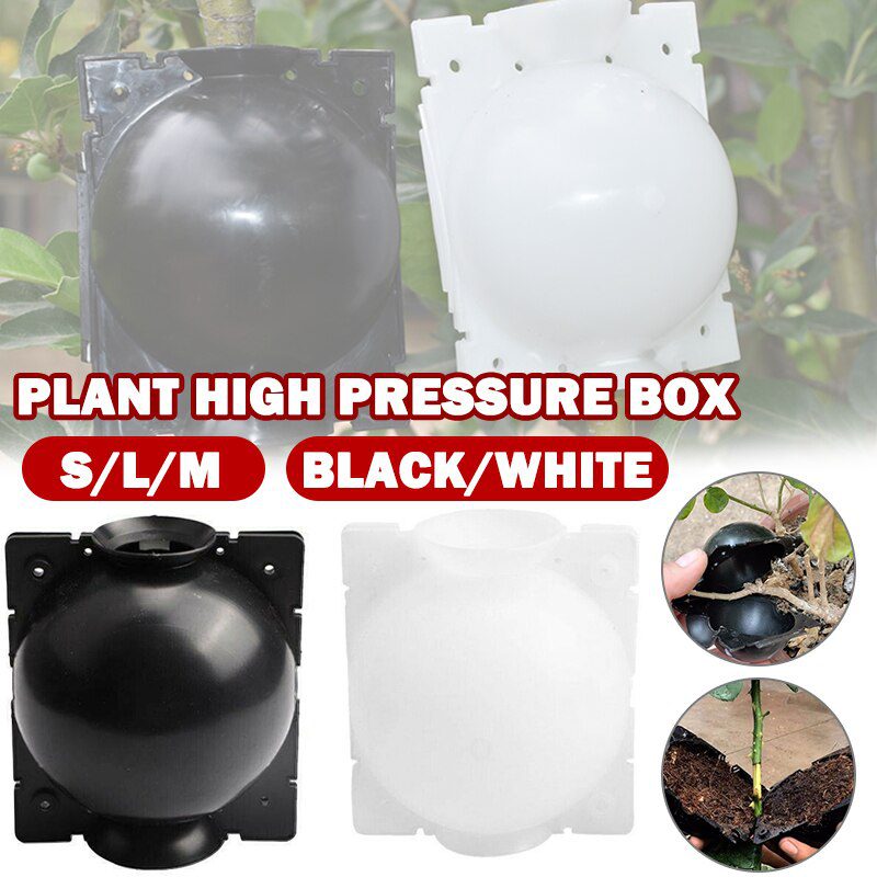 Details about   9x Plant Rooting Ball Grafting Rooting Box Breeding Case Plant Root Growing Box 