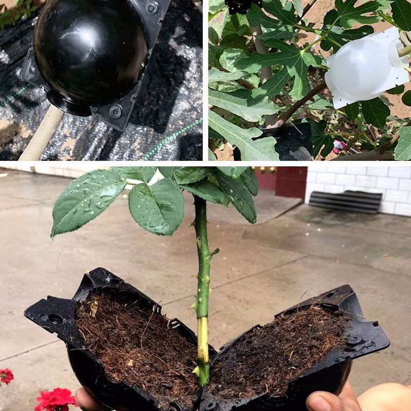 Details about   10*black Plant Rooting Ball Grafting Root Growing Breeding Box Container Eager 