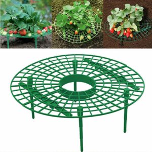 Strawberry-Stand-Frame-Holder-Balcony-Planting-Rack-Fruit-Support-Plant-Flower-Climbing-Vine-Pillar-Gardening