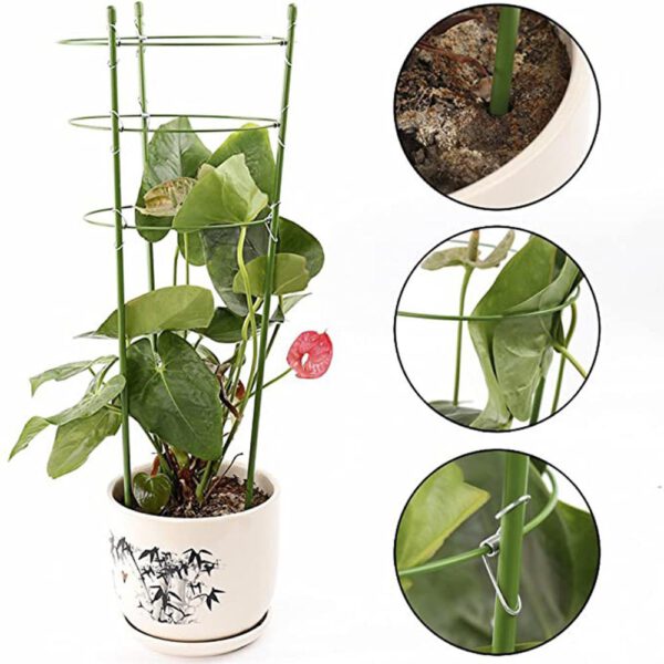 Climbing Plant Support Cage