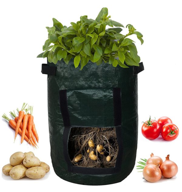 Potato Grow Container Bag