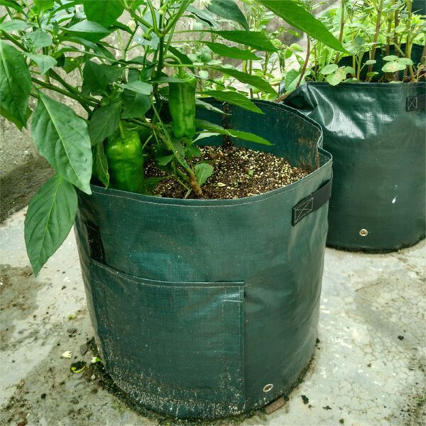 Potato Grow Container Bag