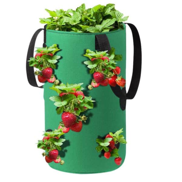Strawberry Planting Growing Bag