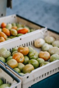 How to grow green tomatoes