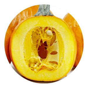 Hybrid Pam Pumpkin
