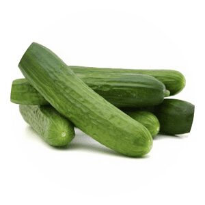 grow english cucumber