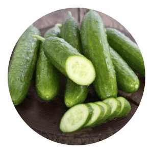 Salad Bush cucumbers