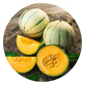How To Grow Organic Melon