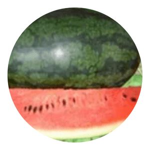 Icebox Watermelons
