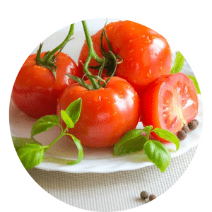 How and When to Water Tomato Plants