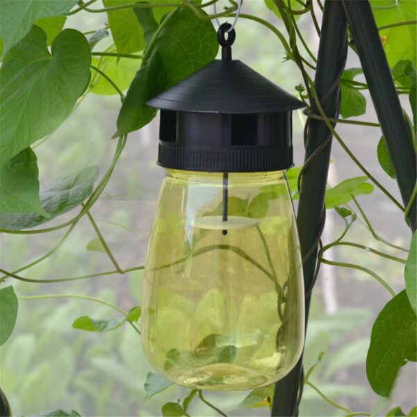 Wasp Trap Fruit Fly Flies Insect Bug Hanging Honey-Trap