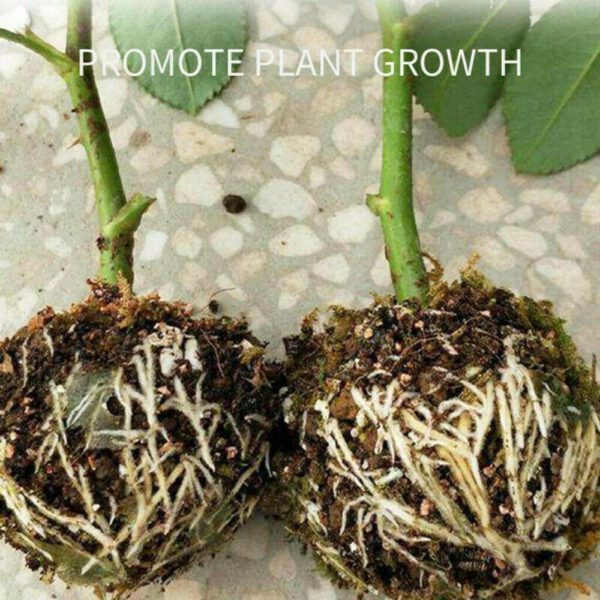 Graft Grafting Box Plant High Pressure Rooting Growing Device Propagation Ball 