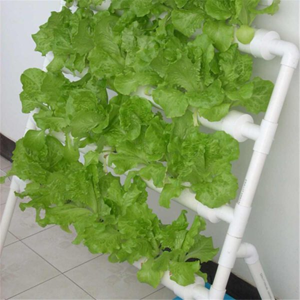 Details about   36 Plant Site Hydroponic Growing Kit Yard Garden Vegetable Plantting 
