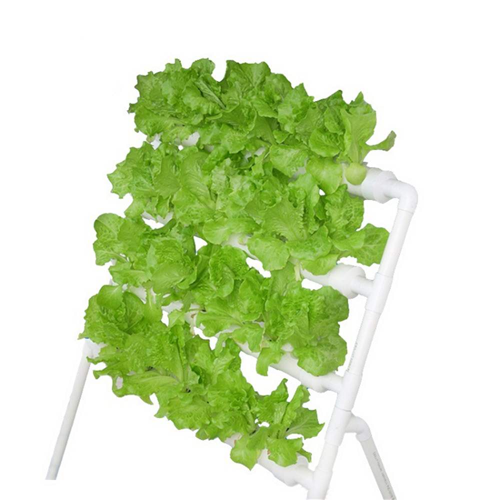 Perfect for beginners Hydroponic 36 Plant Site Grow Kit more nutritious 