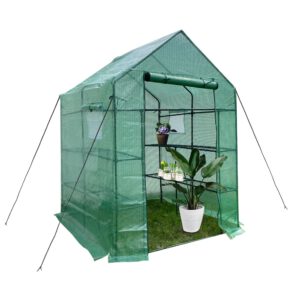 Green House Walk in Outdoor Plant Gardening Greenhouse