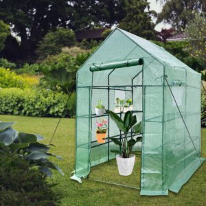 Green House Walk in Outdoor Plant Gardening Greenhouse