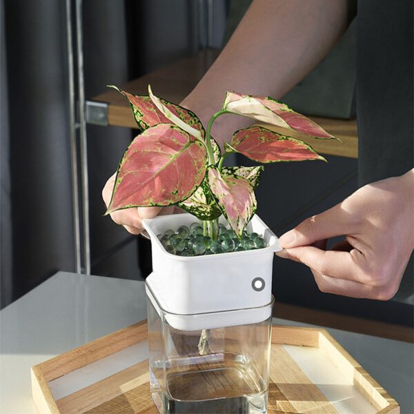 Hydroponic Flowerpot Self-watering Flowerpot