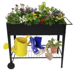 Vegetable Flower Planting Box With Wheels & Shelf