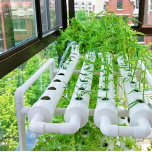 36/54 Holes Hydroponic Piping Site Grow Kit Deep Water