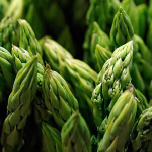 Asparagus Organic Seeds