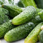 Cucumber Organic Seeds
