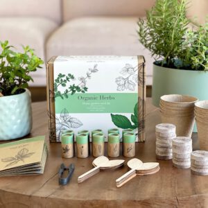Indoor Herb Garden Starter Kit, 10 Gardening Seed Pack with Plant Markers