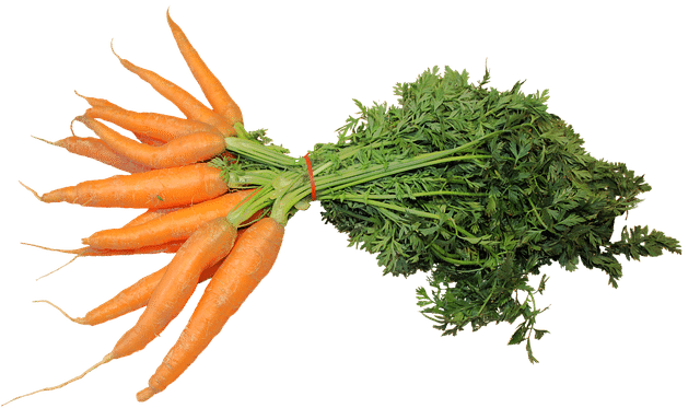 how to grow organic carrots