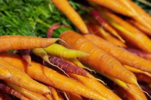 how to grow organic carrots