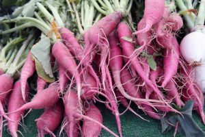 how to grow organic purple carrot