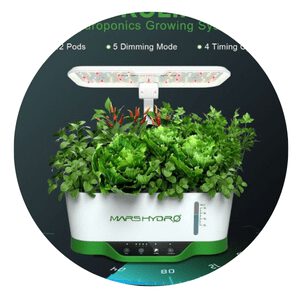grow herbs Hydroponics