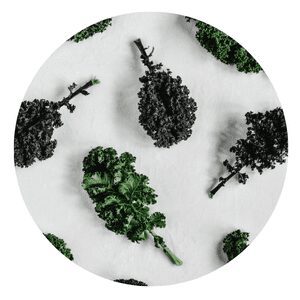 Kale Grow Colorado