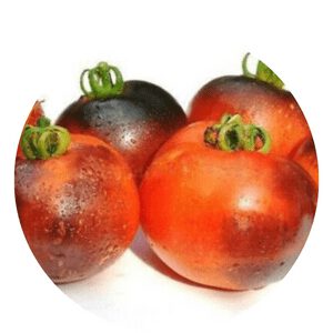 heirloom tomato seeds online