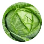 Earliana Cabbage