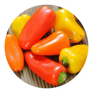 mini sweet pepper