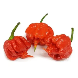 Benefits and harm of red pepper for health
