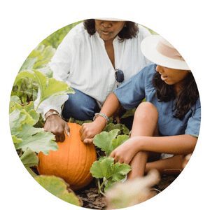 Organic Fertilizer For Pumpkins