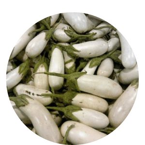organic eggplant seeds online