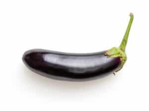 how to grow organic eggplant