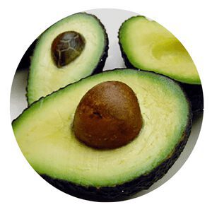 Maluma avocado