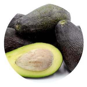 Mexicola avocado