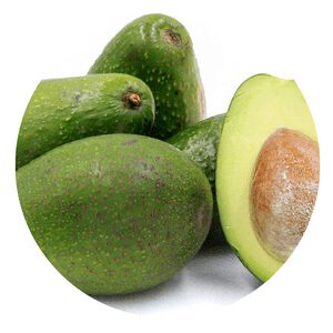 Zutano avocado