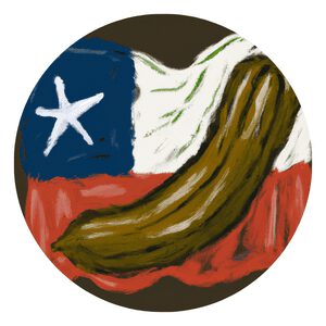 Grow Organic Cucumbers in Texas