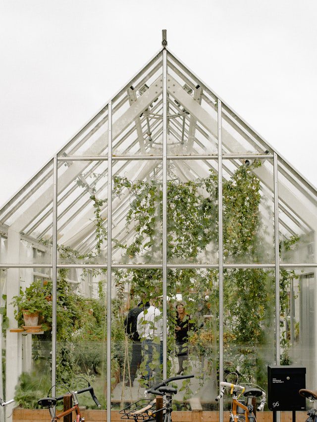 How do you use a greenhouse?
