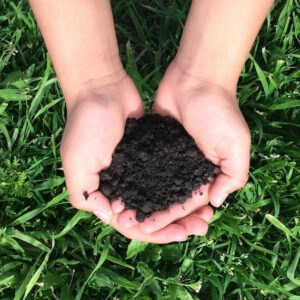 Compost Tea for 10 plants Organic Fertilizer
