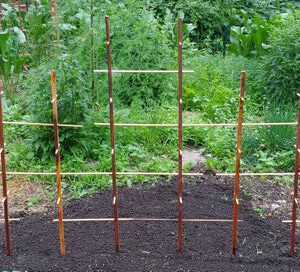 Plant Play Ground - Oak Trellis, for Active Plants