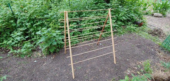 climbing plant support frame