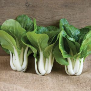 WIN WIN Choi Green Seeds Asian Vegetable Seeds