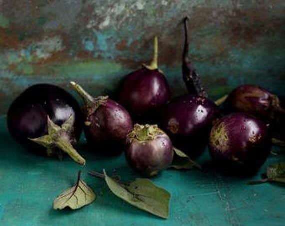 THAI ROUND PURPLE Eggplant seeds
