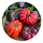 organic spanish tomato