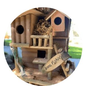 What Birds Use Birdhouses Southern California?